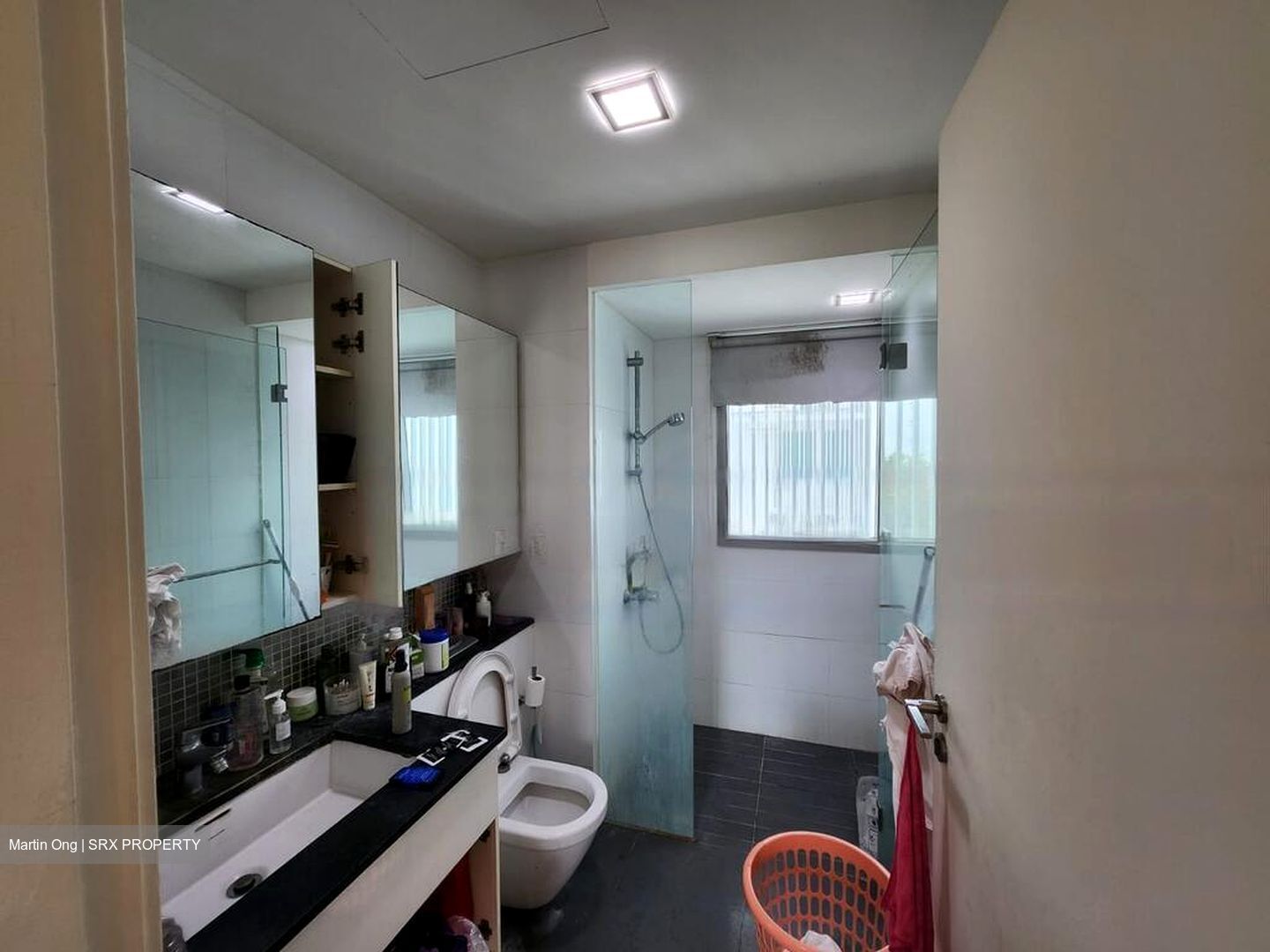 The Minton (D19), Condominium #481167631